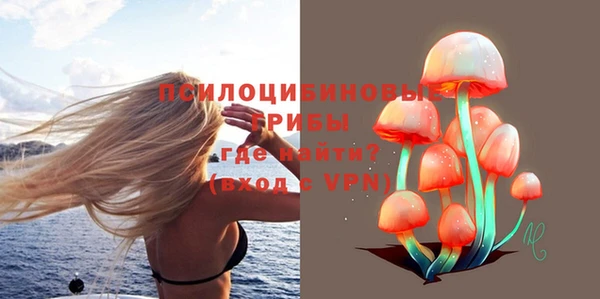 прущие грибы Усолье-Сибирское