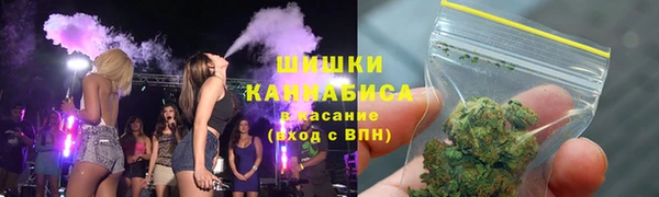 прущие грибы Усолье-Сибирское