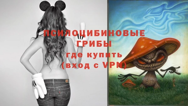 синтетический гашиш Дмитровск