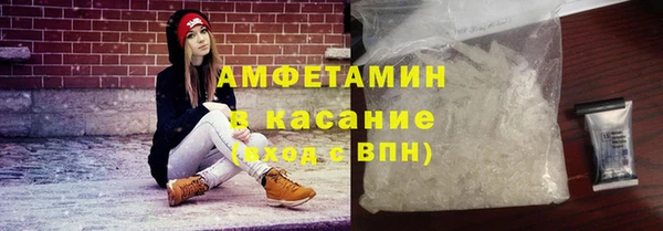 сатива Сатка